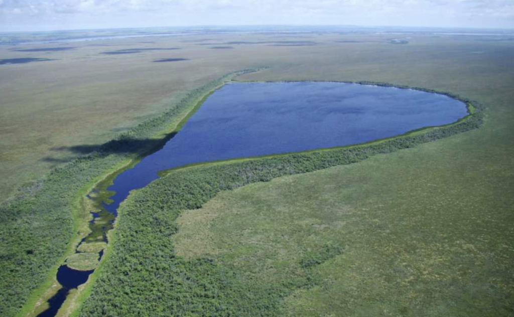 Juruena National Park